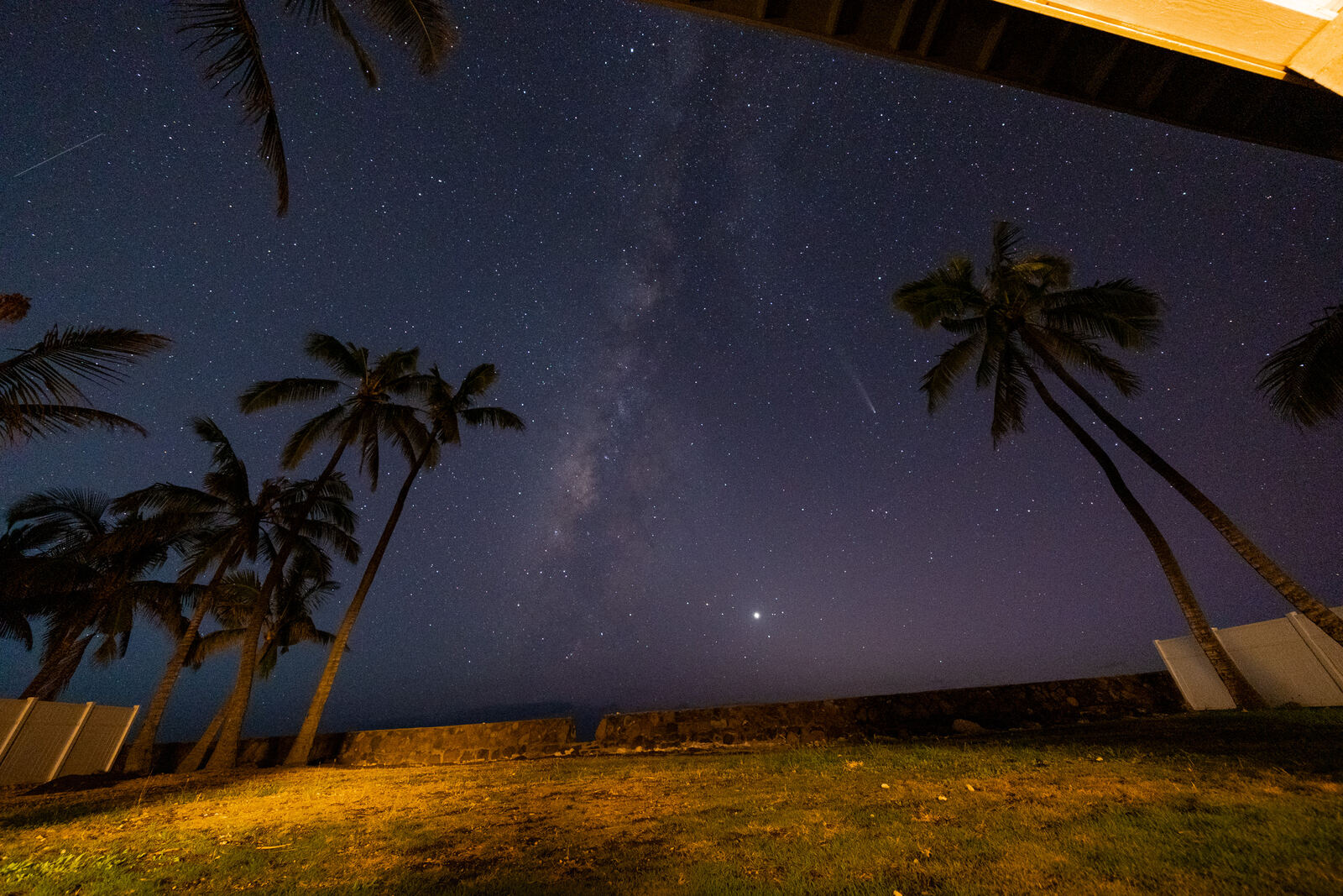 Milky Way and comet above coconut palms