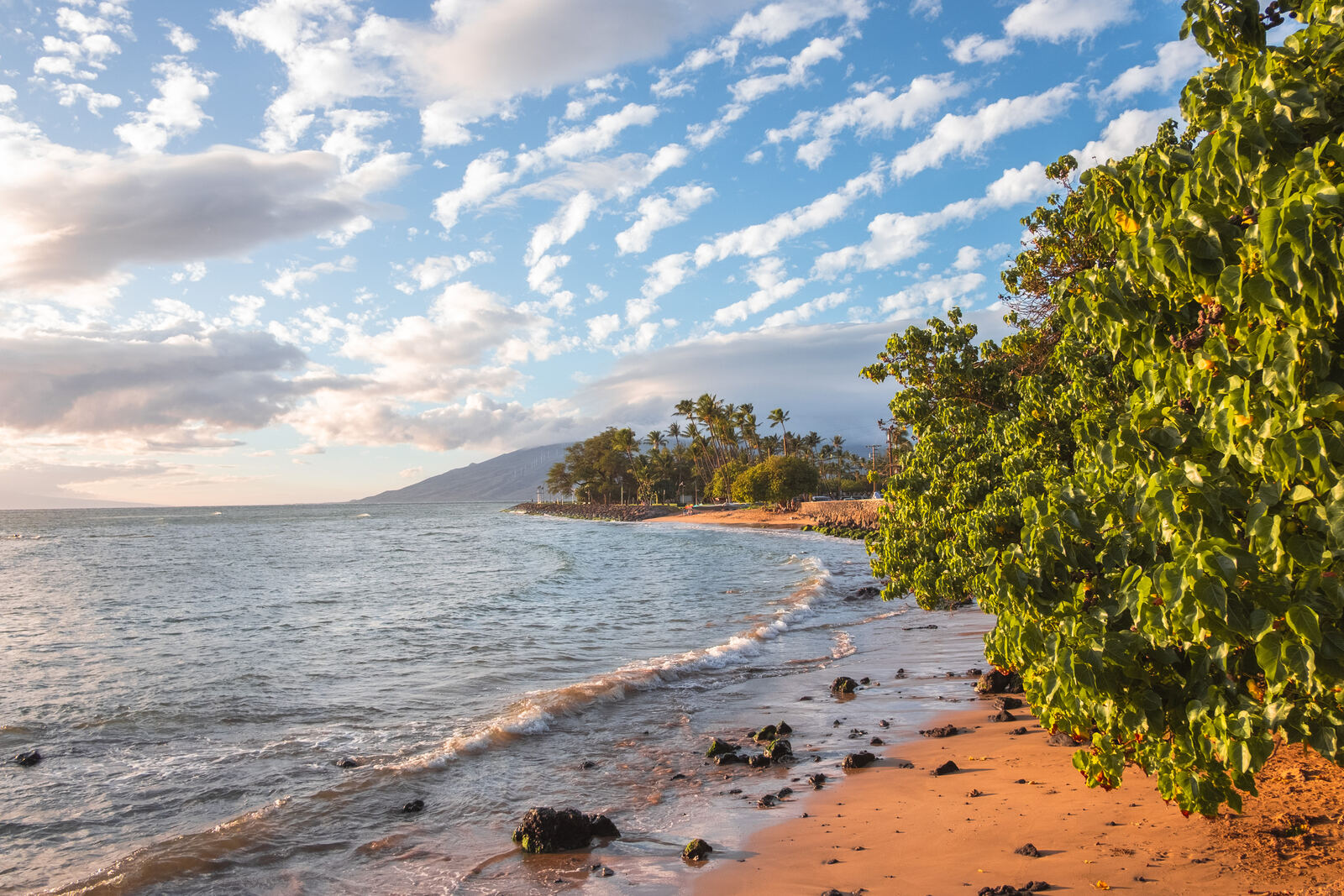 Golden hour shoreline with lava rock and palms