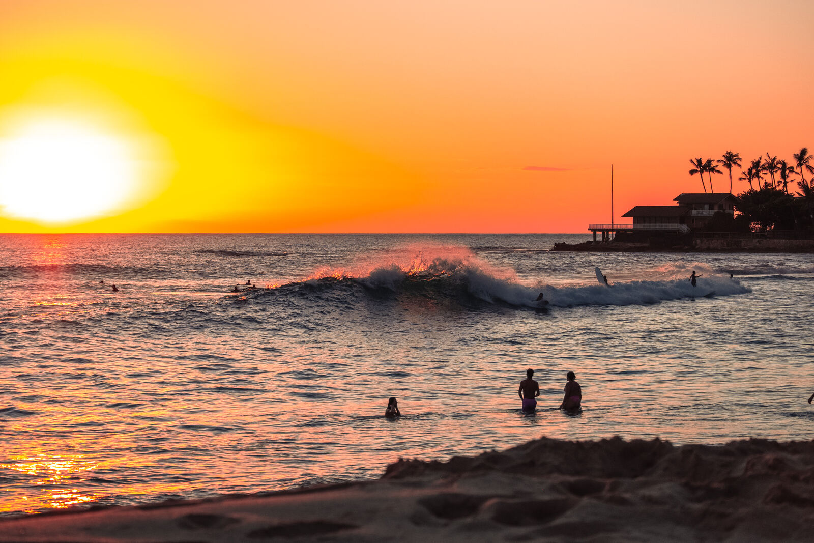 Surfers in golden sunset waves
