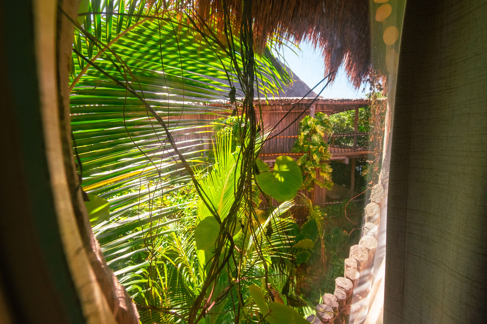 Round window opening onto jungle greenery